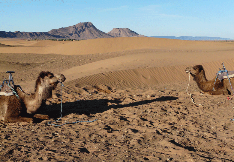 zagora